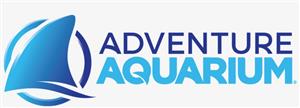 acquarium 
